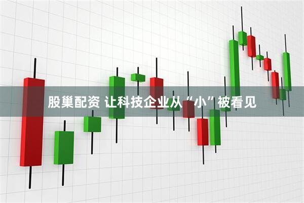 股巢配资 让科技企业从“小”被看见