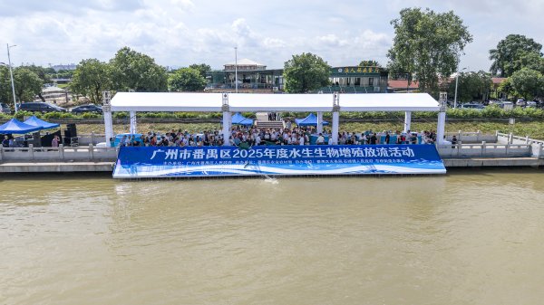 长胜证券 157万余尾鱼虾放流珠江，番禺生态环境建设工作亮点多多