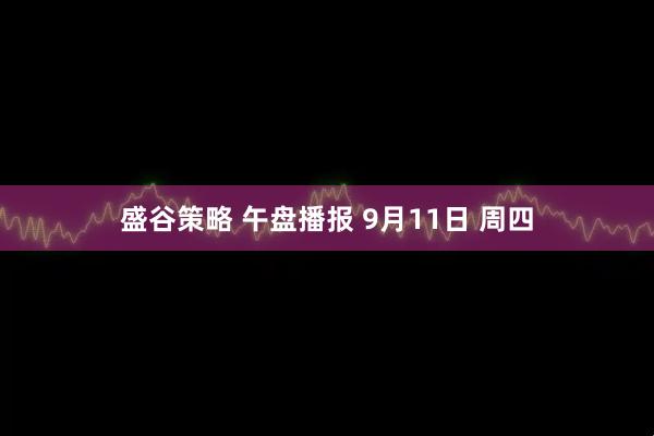 盛谷策略 午盘播报 9月11日 周四