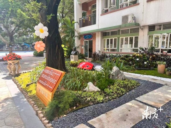 华融资产 校园变身植物园，白云这所小学将生态教育植入孩子心中
