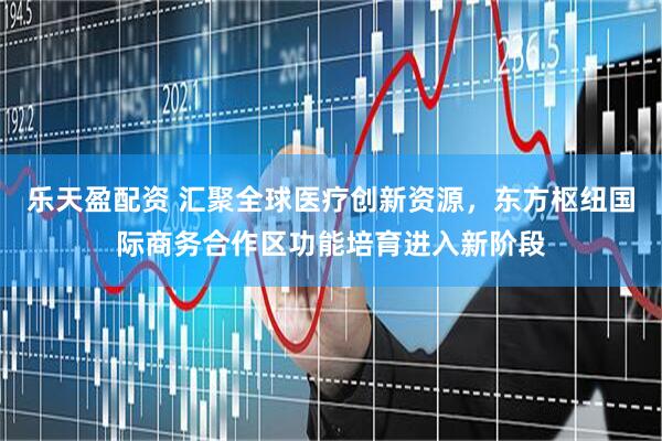 乐天盈配资 汇聚全球医疗创新资源，东方枢纽国际商务合作区功能培育进入新阶段